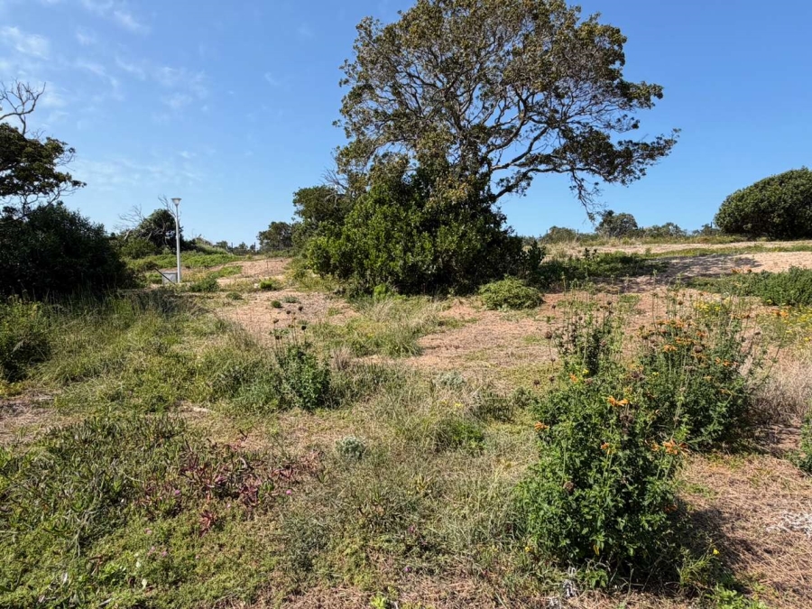 0 Bedroom Property for Sale in Reebok Western Cape